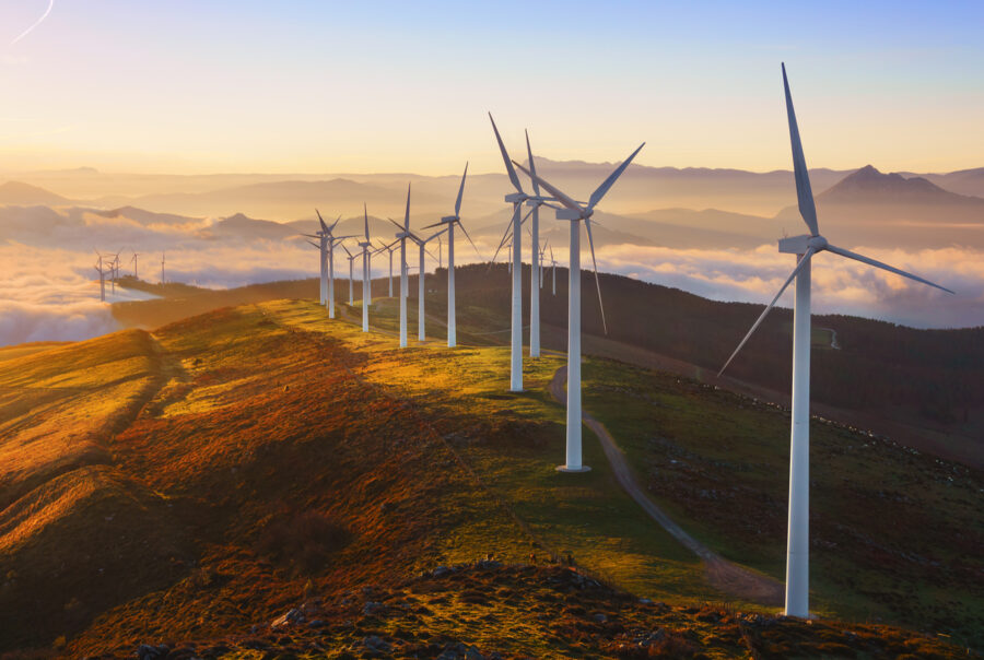 Your environmentally-friendly backfill solution.